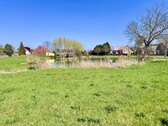 Dorfteich - 
