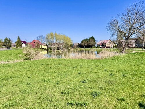 Dorfteich - 