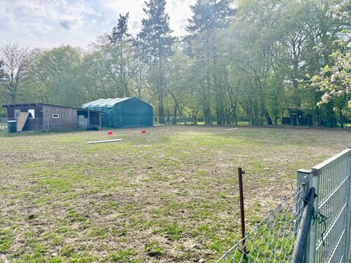 das Grundstück Pferdekoppel - 4 Zimmer Einfamilienhaus in Werder OT Wodarg