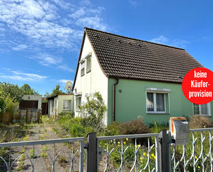 HORN IMMOBILIEN ++ Friedland (Meckl.) Haus mit viel Platz und großem Grundstück, sanierungsbedürftig