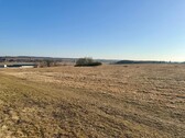Ausblick Garten - Doppelhaushälfte mit 116,00 m&sup2; in Bassow zum Kaufen