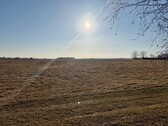 Ausblick Garten - 