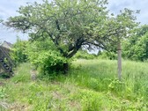 das Grundstück - Einfamilienhaus mit 160,00 m&sup2; in Altentreptow zum Kaufen