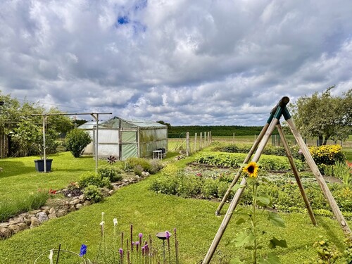 Garten - 
