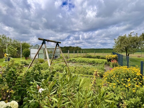 Garten - 