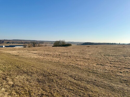 Ausblick Garten - Doppelhaushälfte mit 116,00 m&sup2; in Bassow zum Kaufen