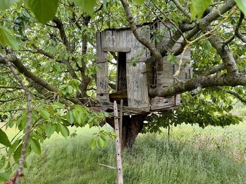 Garten - 