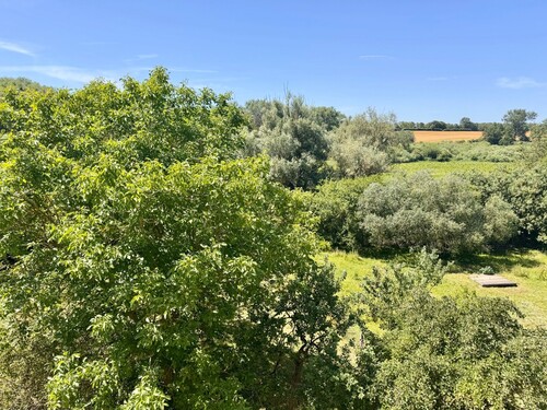 Blick aus dem oberen Fenster - 6 Zimmer Reihenendhaus zum Kaufen in Mölln / Wrodow