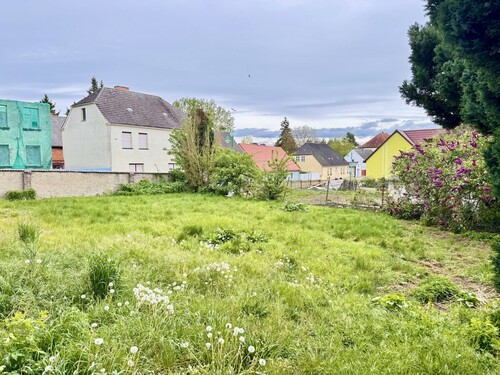 Garten - 