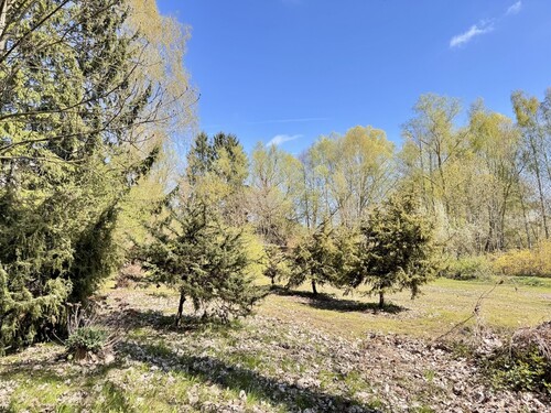 Garten - 