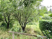 Aussicht vom Wohnzimmer - Reihenmittelhaus mit 80,00 m² in Uckerland / Wilsickow zum Kaufen