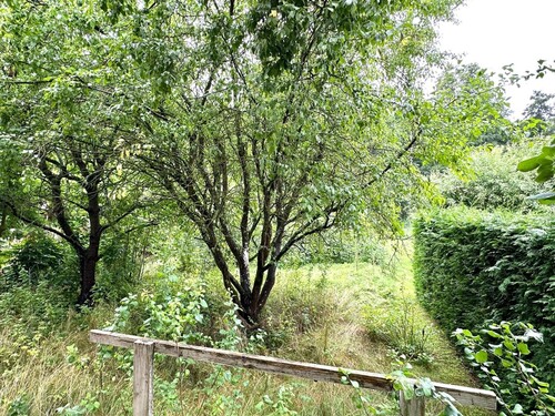 Aussicht vom Wohnzimmer - Reihenmittelhaus mit 80,00 m² in Uckerland / Wilsickow zum Kaufen