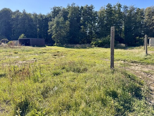 Grundstück - Grundstück zum Kaufen in Eggesin