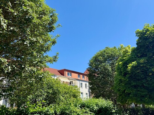 Rückseite - 
