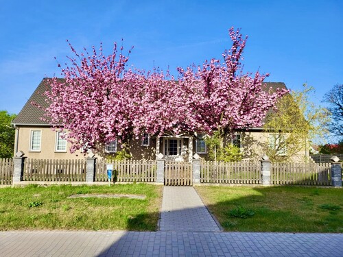 Hausansicht - 8 Zimmer Einliegerwohnung zum Kaufen in Gartz