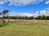 das Grundstück - HORN IMMOBILIEN mit Video 5,6 ha bei Löcknitz, als Wildtierfarm, zur Pferdehaltung oder für Alpakas