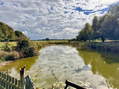 Teich mit Fischbesatz - Grundstück in Löcknitz zum Kaufen