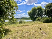 Wiese - 