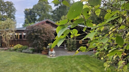 Grundstück - 