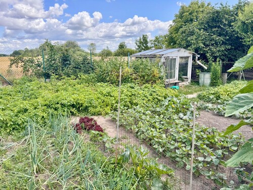 Gartengrundstück - 