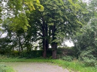 Foto 1 - Grundstück zum Kaufen in Goslar-Hahndorf