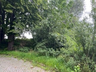 Foto 2 - Grundstück in Goslar-Hahndorf