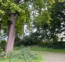 Grünfläche im schönen Vorharz - 1.200,00 EUR Kaufpreis, ca.  600,00 m² in Goslar-Hahndorf (PLZ: 38644)