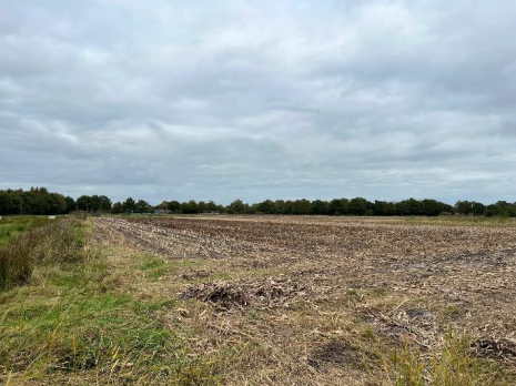 Ansicht von Südwesten - 