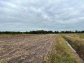 Ansicht von Südosten - Grundstück in Westoverledingen zum Kaufen
