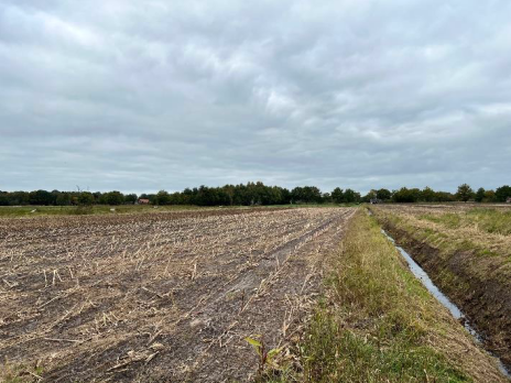 Ansicht von Südosten - Grundstück in Westoverledingen zum Kaufen