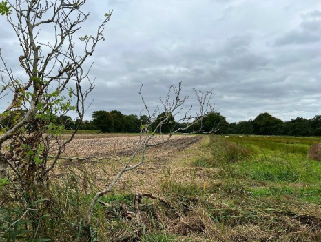 Ansicht von Nordwesten - Grundstück in Westoverledingen