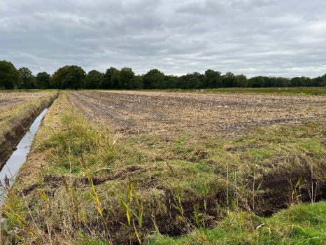 Ansicht von Nordosten - Grundstück zum Kaufen in Westoverledingen