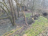 Bild (7) - Gebotsverfahren: Waldgrundstück mit erheblichen Beräumungsbedarf zu verkaufen