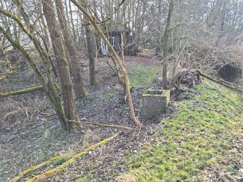 Bild (7) - Gebotsverfahren: Waldgrundstück mit erheblichen Beräumungsbedarf zu verkaufen