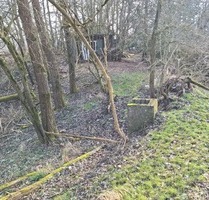 Gebotsverfahren: Waldgrundstück mit erheblichen Beräumungsbedarf zu verkaufen - Herzberg am Harz