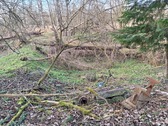 Bild (1) - Grundstück in Herzberg am Harz