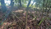 Bild (2) - Grundstück in Herzberg am Harz zum Kaufen