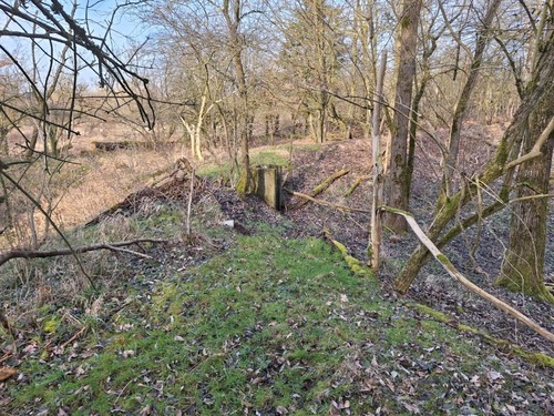Bild (5) - 