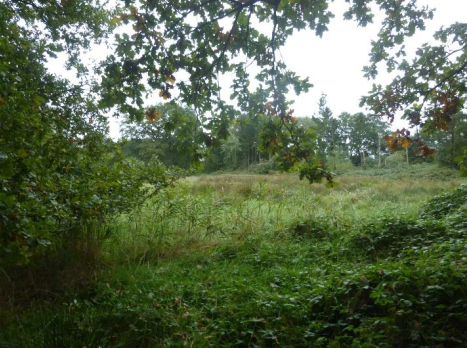 Ansicht von Norden - Grundstück zum Kaufen in Westoverledingen