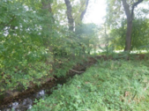Entwässerungsgraben Nordseite - 