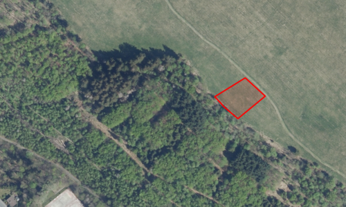 Luftbild ALKIS - Bergwiese in Altenau im Landschaftsschutzgebiet 'Harz'