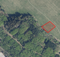 Bergwiese in Altenau im Landschaftsschutzgebiet 