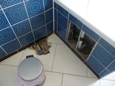 Wasserschaden im Bad EG - 