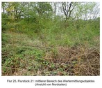Foto 4 - 1.131 m2 brachliegende Gehölzfläche in Holzminden