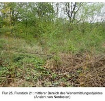 1.131 m2 brachliegende Gehölzfläche in Holzminden