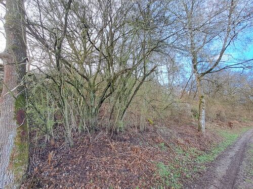 Ansicht 3 - 