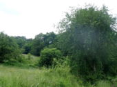 Ansicht 7 - 