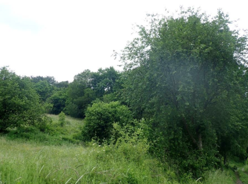 Ansicht 7 - 