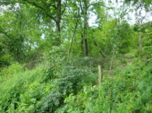 Ansicht 6 - 