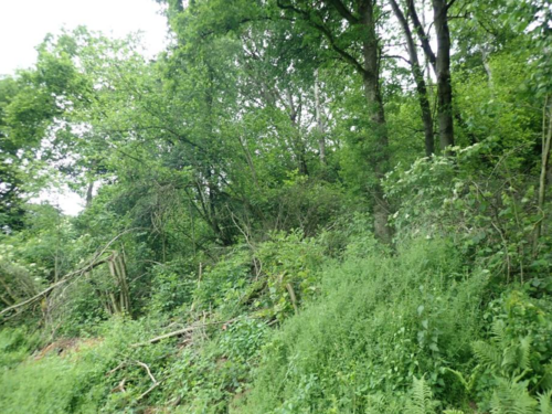Ansicht 5 - 